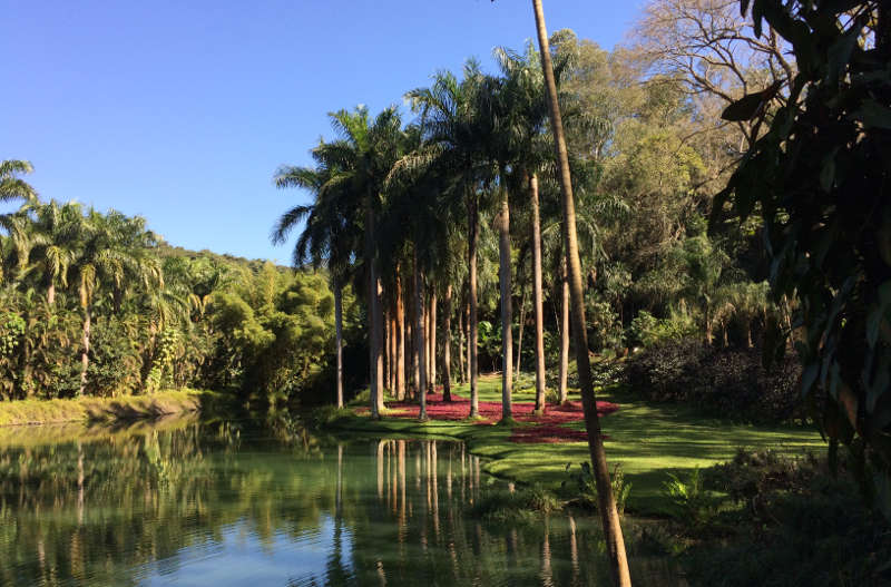 Inhotim, em Brumadinho, Minas Gerais [Revista CONCERTO]