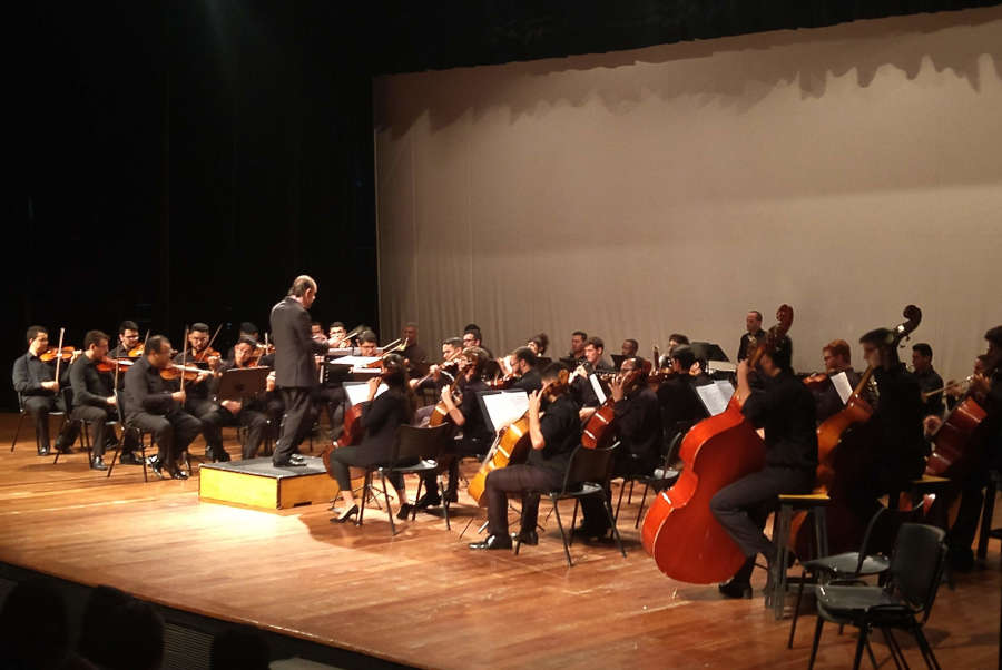 Orquestra Jovem de Guarulhos (divulgação/Carla Maio)