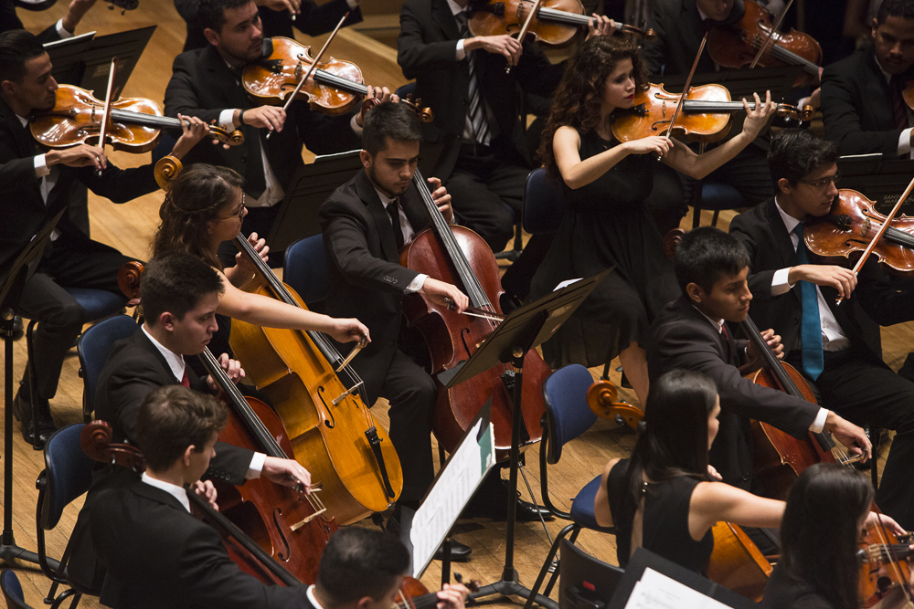 Orquestra Jovem do Estado [Divulgação/Heloisa Bortz]