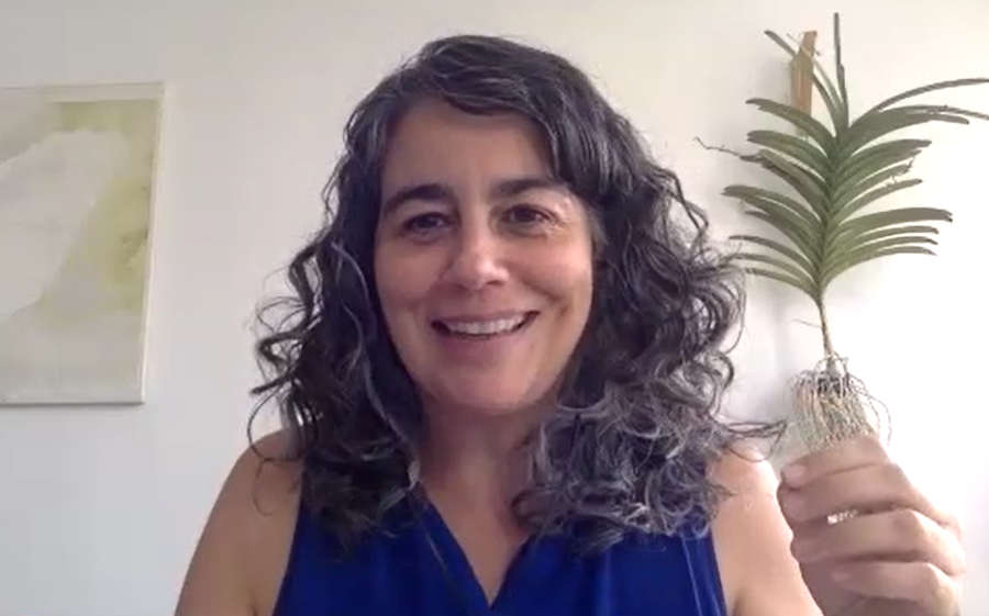Alessandra Costa, diretora executiva da OS Sustenidos (reprodução zoom)