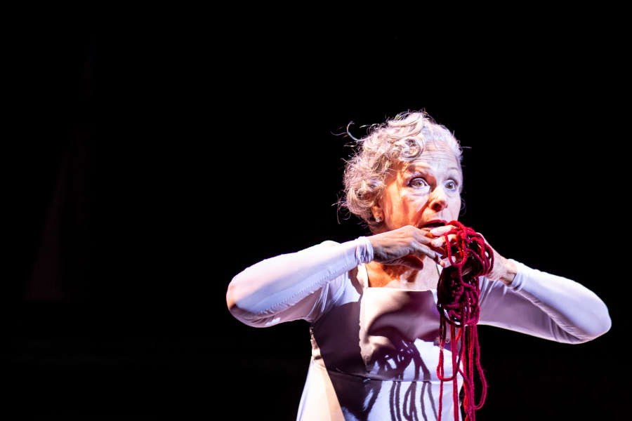 Eliane Coelho em cena de 'Pierrot lunaire', de Schoenberg [Divulgação/Daniel Ebendinger]