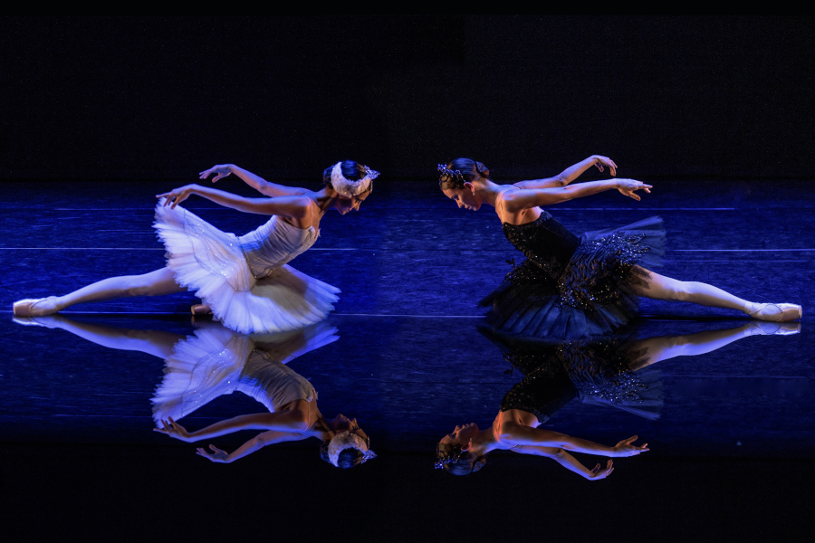 São Paulo Companhia de Dança em O lago dos cisnes Divulgação/Charles Lima]