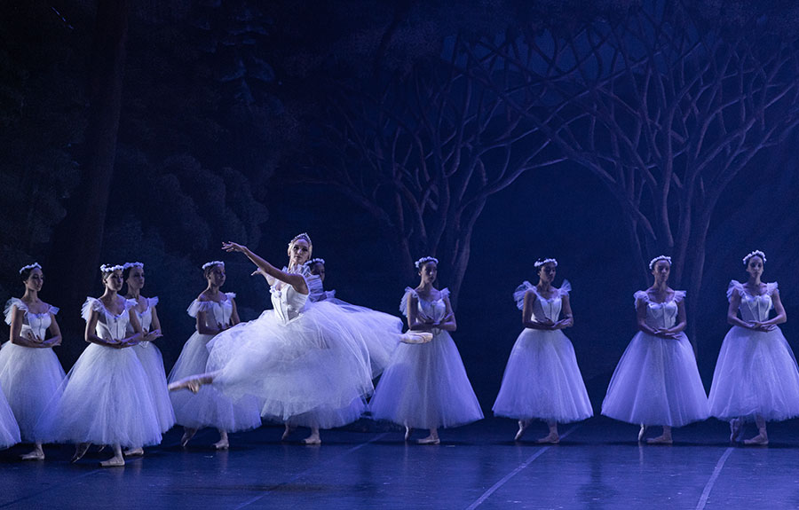 ‘Giselle‘ produção de 2023 do Theatro Municipal do Rio de Janeiro (divulgação, Carol Lancelloti)