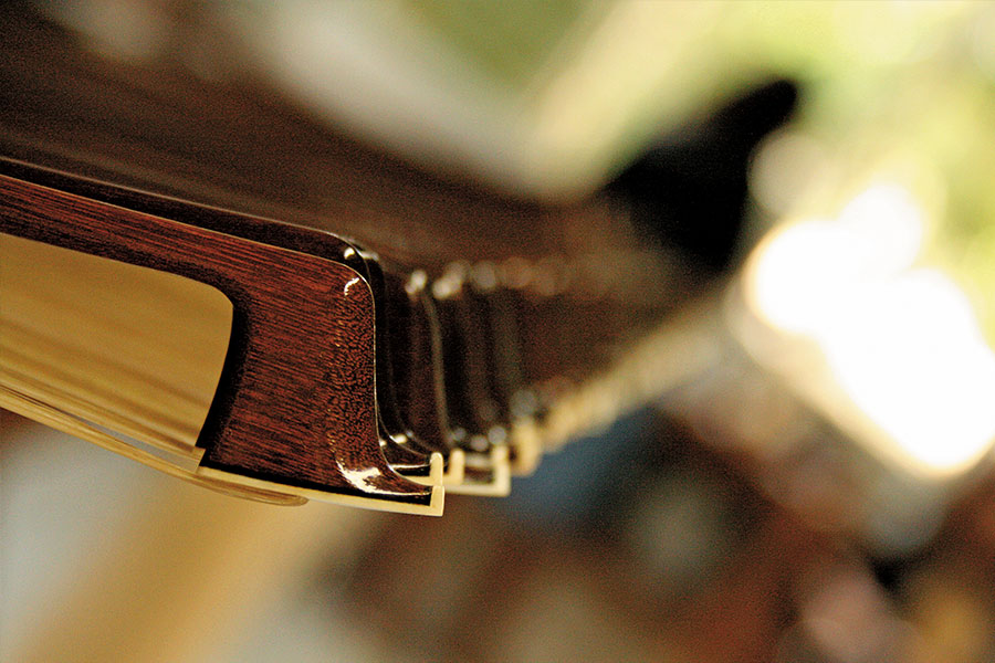 Arcos de pau-brasil (Reprodução O som do pau-brasil, Luciana Ferraz, Interface Filmes)