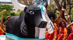 Festival de Parintins é tema de curso com curadoria de Waleska Gomes e Arthur Santos [Guilherme Herrera/Acervo SPED]