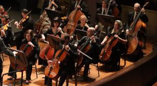 Músicos da Orquestra Sinfônica do Theatro Municipal do Rio de Janeiro [Divulgação/Daniel Ebendinger]