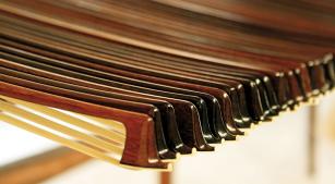 Arcos de pau-brasil (Reprodução O som do pau-brasil, Luciana Ferraz, Interface Filmes)