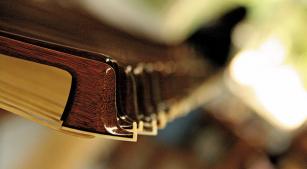 Arcos de pau-brasil (Reprodução O som do pau-brasil, Luciana Ferraz, Interface Filmes)