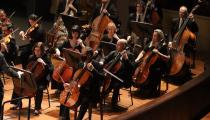 Músicos da Orquestra Sinfônica do Theatro Municipal do Rio de Janeiro [Divulgação/Daniel Ebendinger]